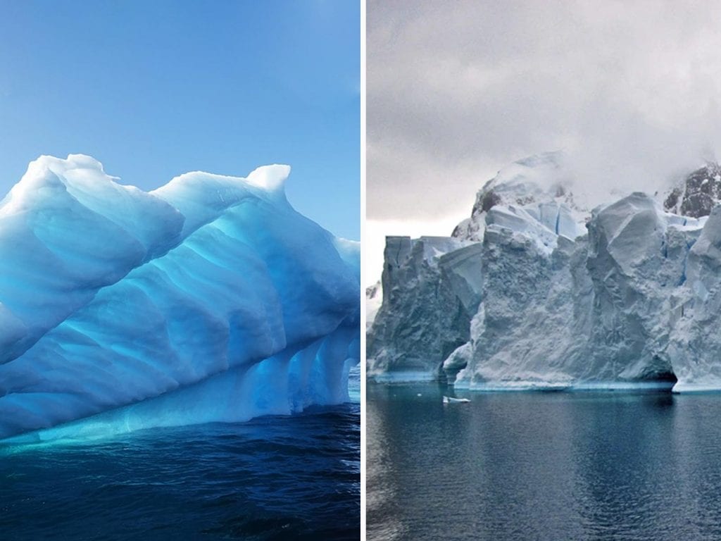 Quelles sont les différences entre ces deux types d'icebergs ? 