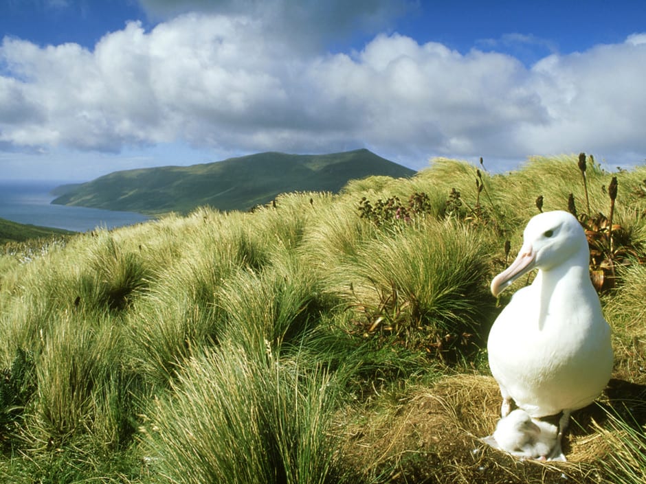 ici la faune a su s'adapter aux conditions climatiques très rudes