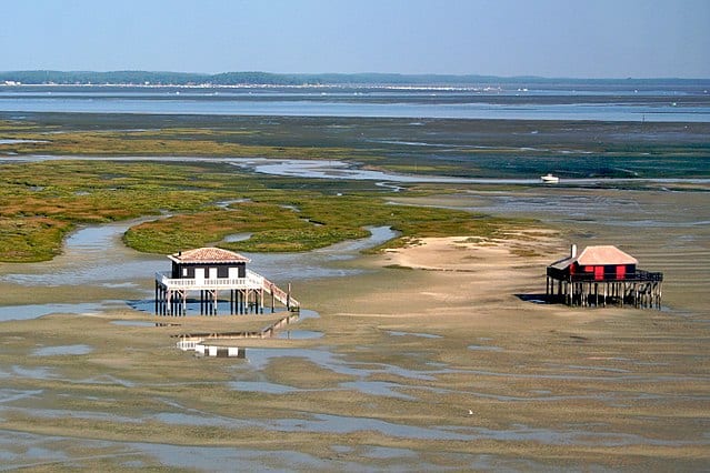 Vue sur les cabanes tchanquées sur l'île aux oiseaux