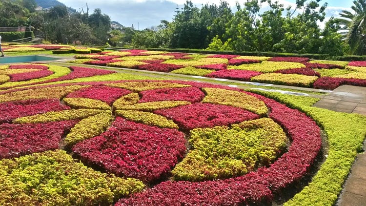 Madeira botanical garden