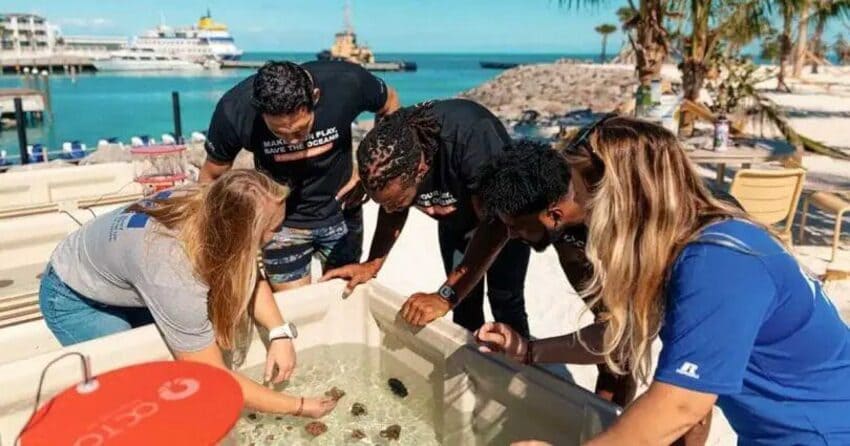 L'ile Ocean Cay de MSC Croisières