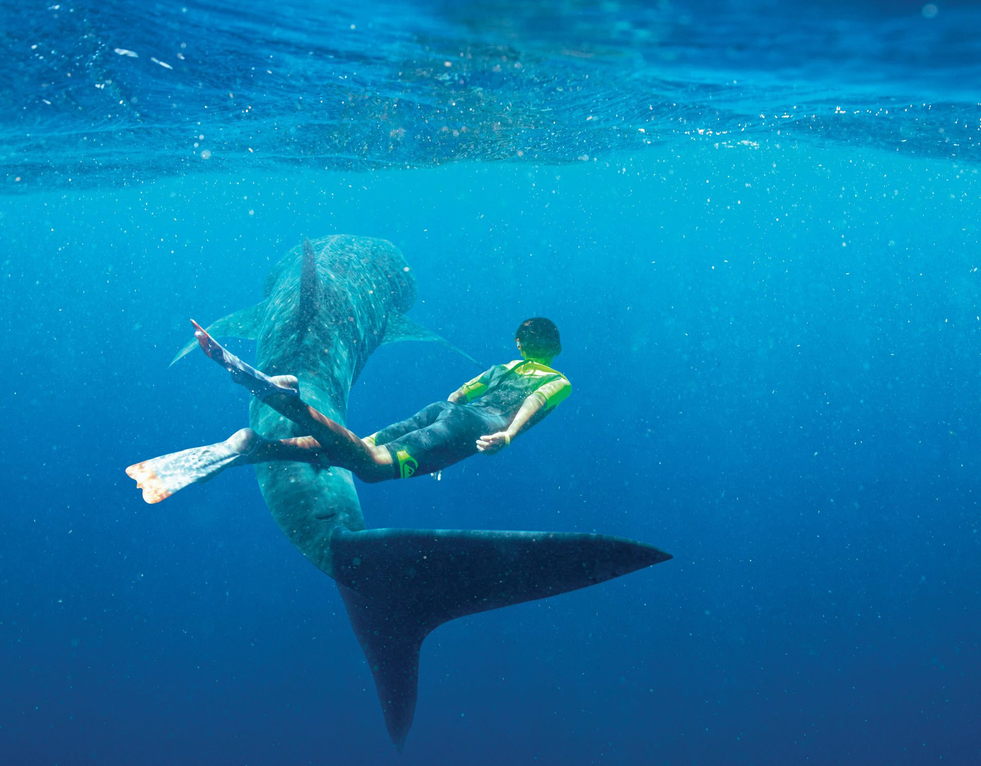 Notre dossier couvre les initiatives prises par Royal Carribean pour gérer l'eau